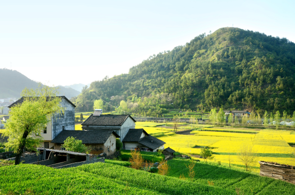 乡村振兴