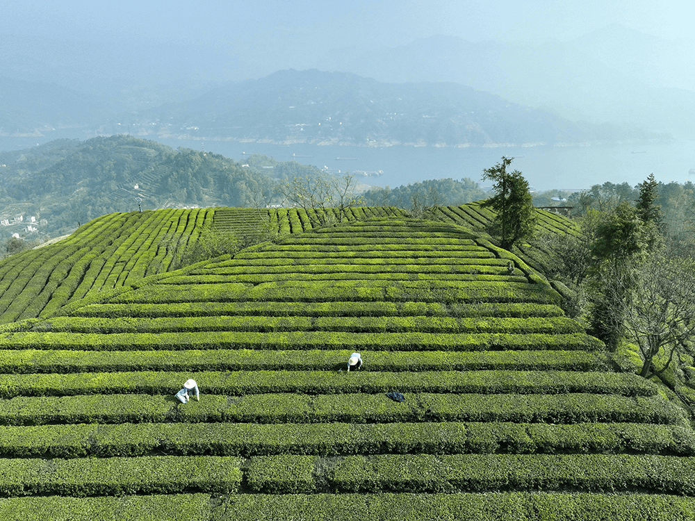 村队宣传思想工作总结